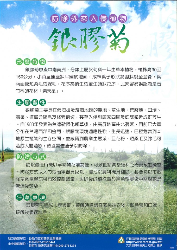 1060011657林1060093308銀膠菊防治022