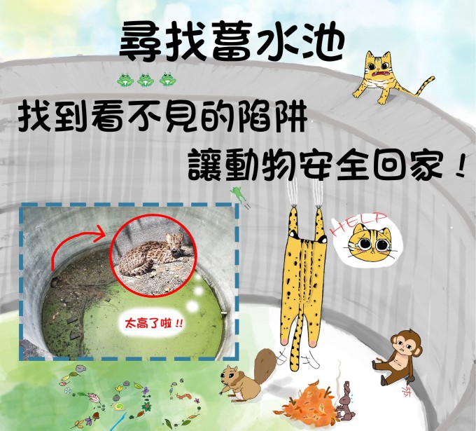 石虎1